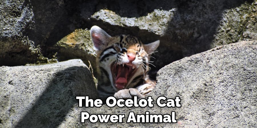 The Ocelot Cat Power Animal