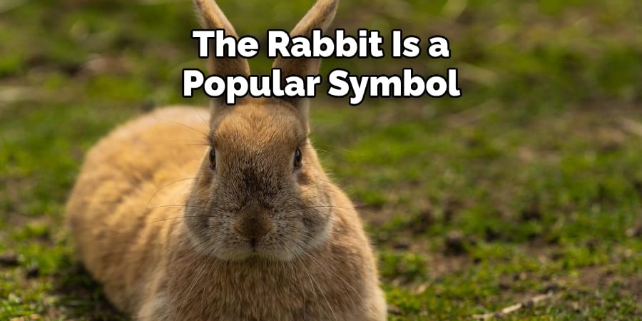 The Rabbit Is a Popular Symbol