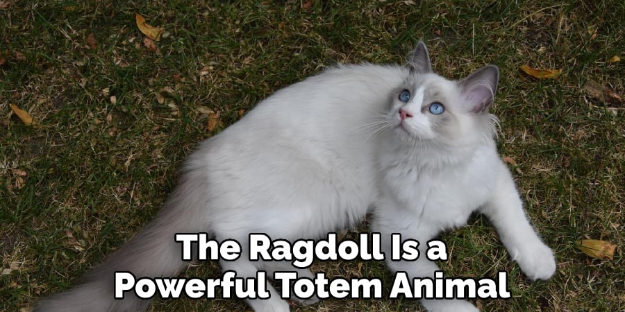 The Ragdoll Is a Powerful Totem Animal