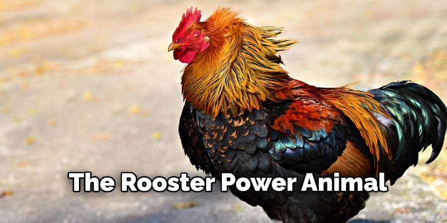 The Rooster Power Animal