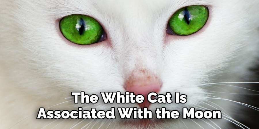 The White Cat Is Associated With the Moon