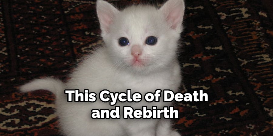 This Cycle of Death and Rebirth 