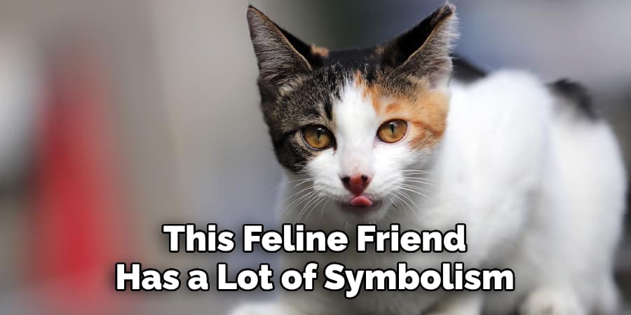 This Feline Friend Also Has a Lot of Symbolism
