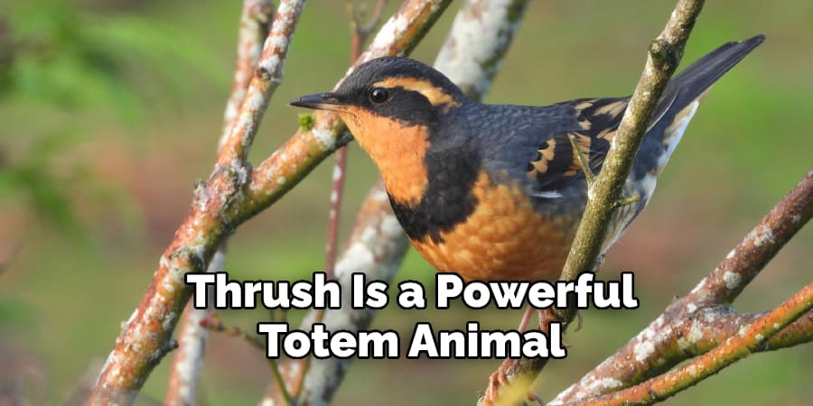 Thrush is a powerful totem animal