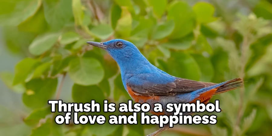 Thrush is also a symbol  of love and happiness