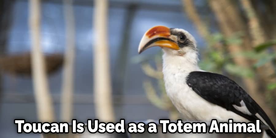 Toucan Is Used as a Totem Animal