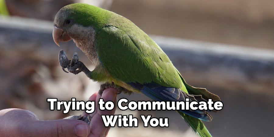 Trying to Communicate With You
