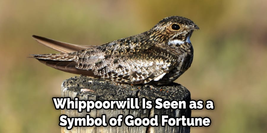 Whippoorwill Is Seen as a  Symbol of Good Fortune