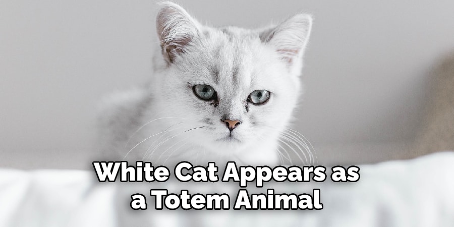 White Cat Appears as a Totem Animal