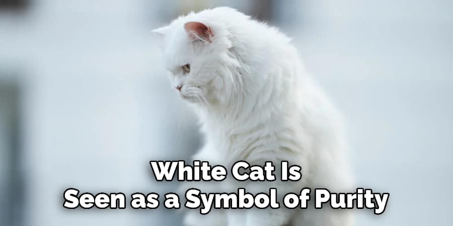 White Cat Is Seen as a Symbol of Purity