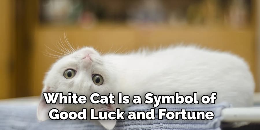 White Cat Is a Symbol of Good Luck and Fortune
