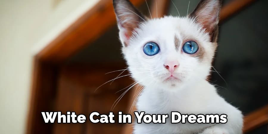 White Cat in Your Dreams