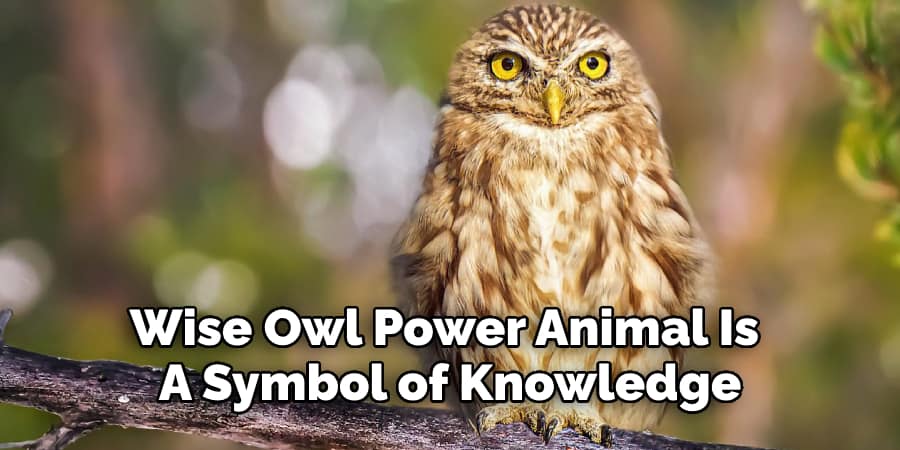 Wise Owl Power Animal Is A Symbol of Knowledge