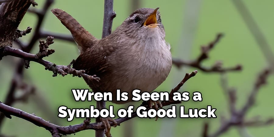 Wren Is Seen as a  Symbol of Good Luck