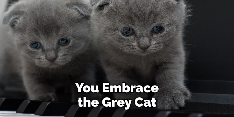 You Embrace  the Grey Cat