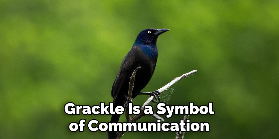 grackle spirit animal is a symbol of communication