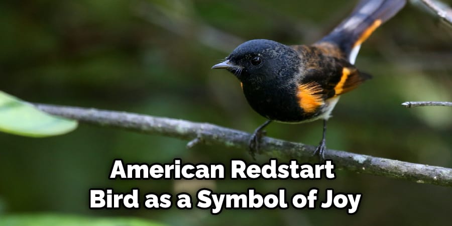 American Redstart  Bird as a Symbol of Joy