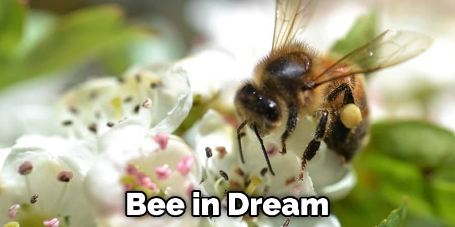 Bee in Dream
