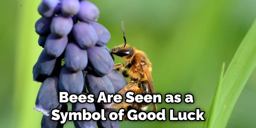 Bees Are Seen as a  Symbol of Good Luck