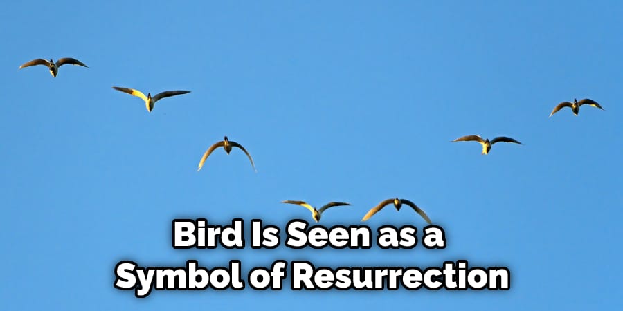 Bird Is Seen as a  Symbol of Resurrection