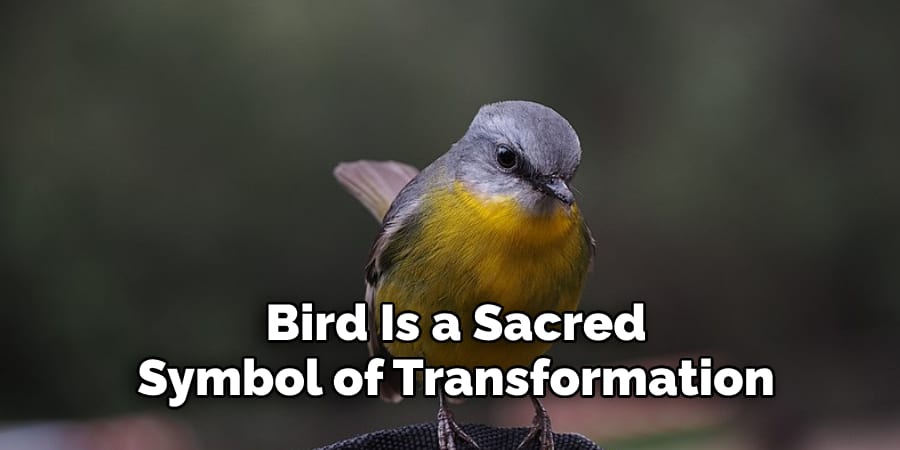 Bird Is a Sacred  Symbol of Transformation