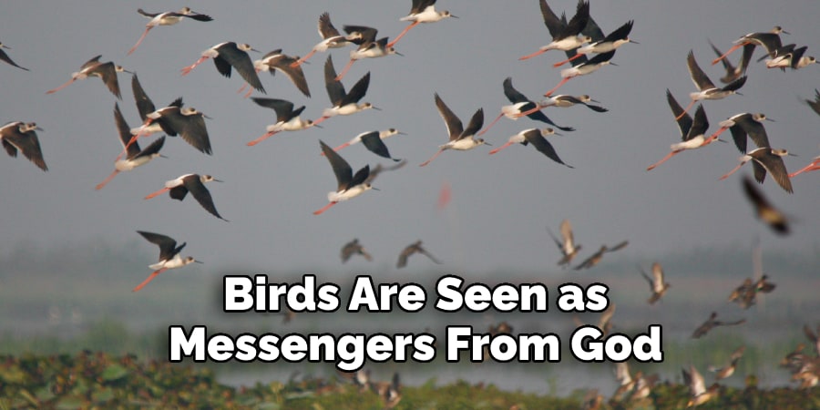 Birds Are Seen as Messengers From God