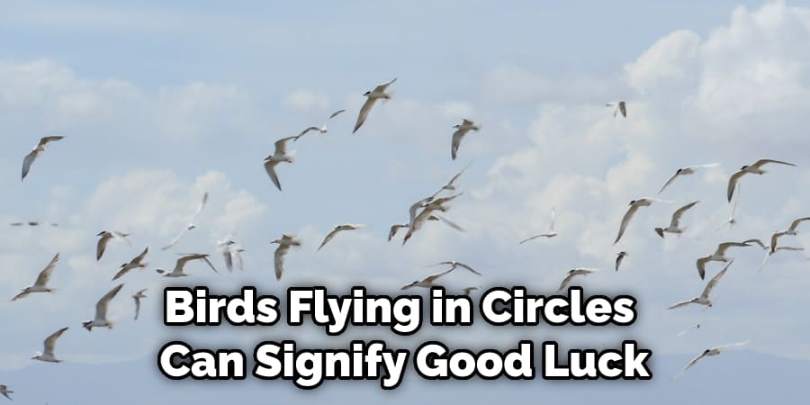 Birds Flying in Circles  Can Signify Good Luck