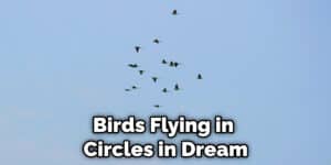 Birds Flying in Circles Meaning | Detailed Explanation (2022)