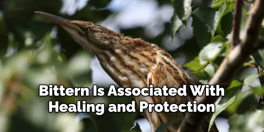 Bittern Is Associated With  Healing and Protection