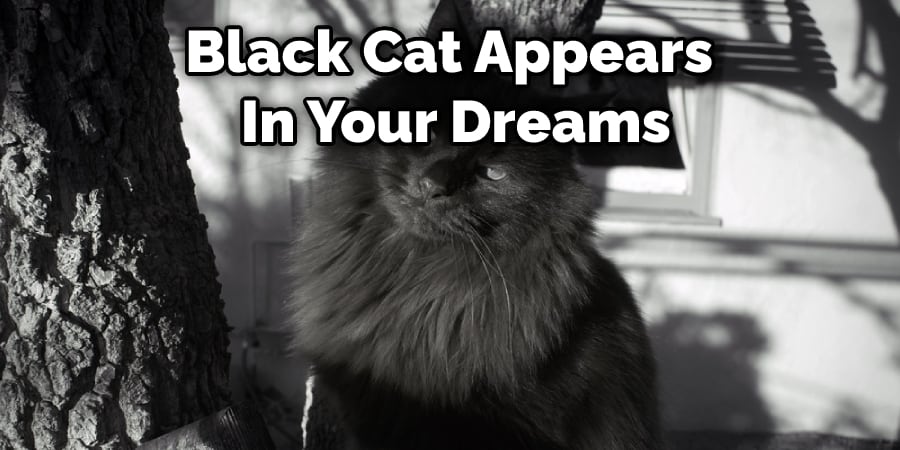 Black Cat Appears  In Your Dreams