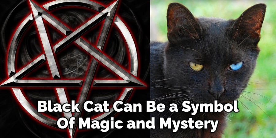 Black Cat Can Be a Symbol  Of Magic and Mystery