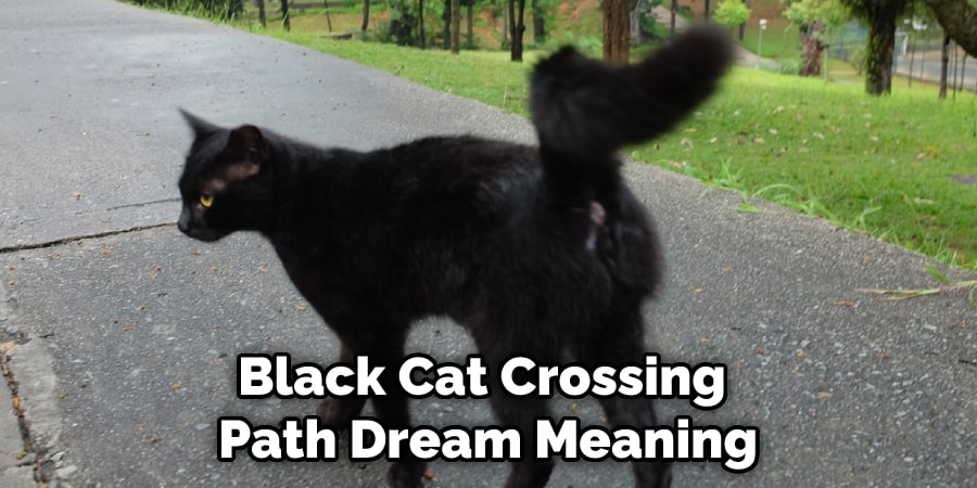 Black Cat Crossing  Path Dream Meaning