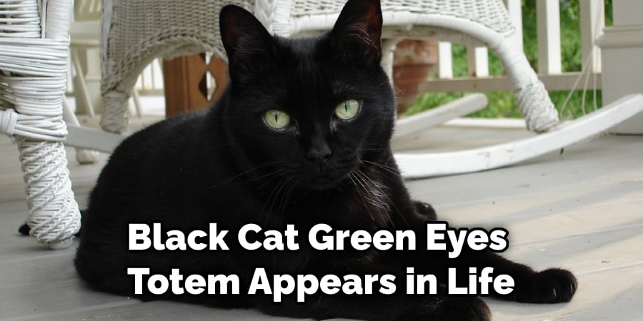 Black Cat Green Eyes  Totem Appears in Life