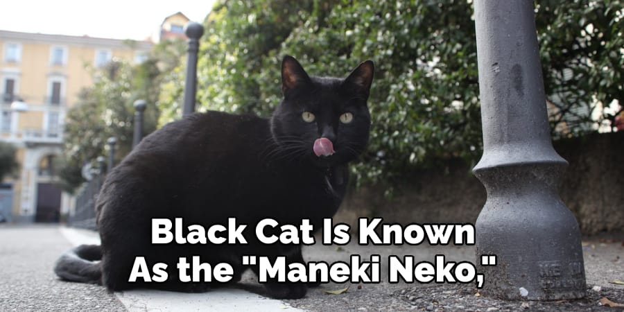  Black Cat Is Known  As the "Maneki Neko,"