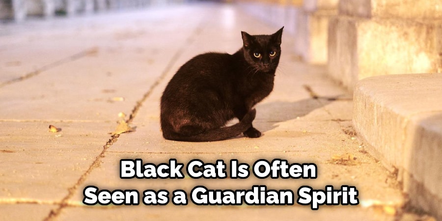 Black Cat Is Often  Seen as a Guardian Spirit