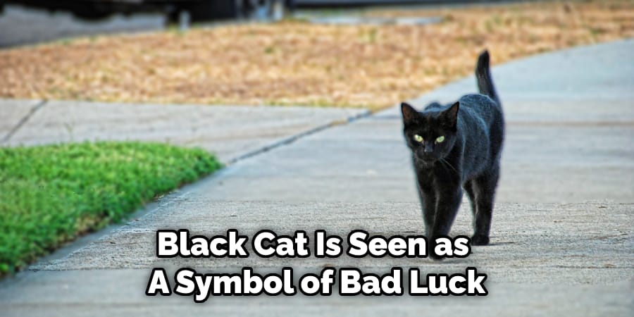 Black Cat Is Seen as  A Symbol of Bad Luck
