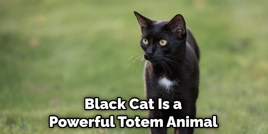 Black Cat Is a  Powerful Totem Animal 