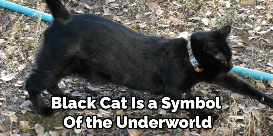 Black Cat Is a Symbol  Of the Underworld