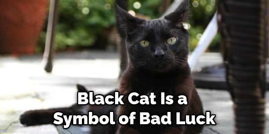 Black Cat Is a  Symbol of Bad Luck