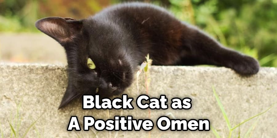 Black Cat as  A Positive Omen