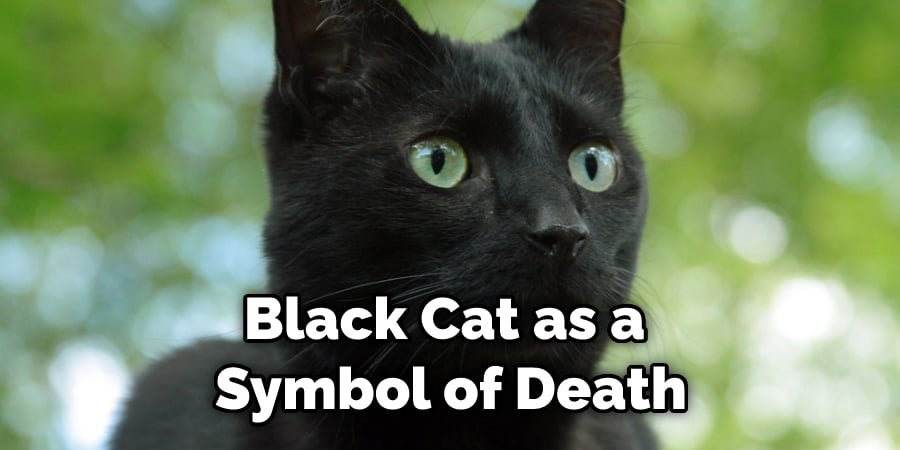 Black Cat as a  Symbol of Death