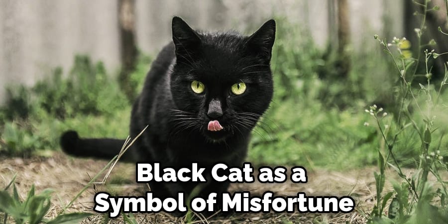 Black Cat as a  Symbol of Misfortune