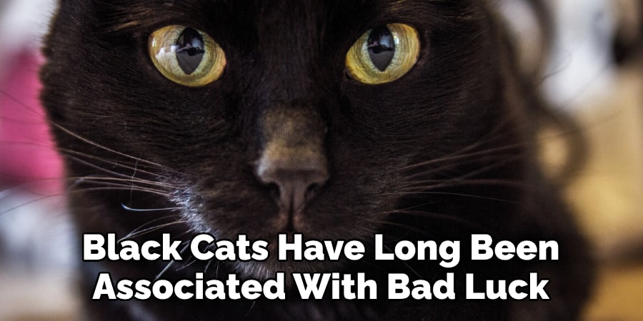 Black Cats Have Long Been  Associated With Bad Luck