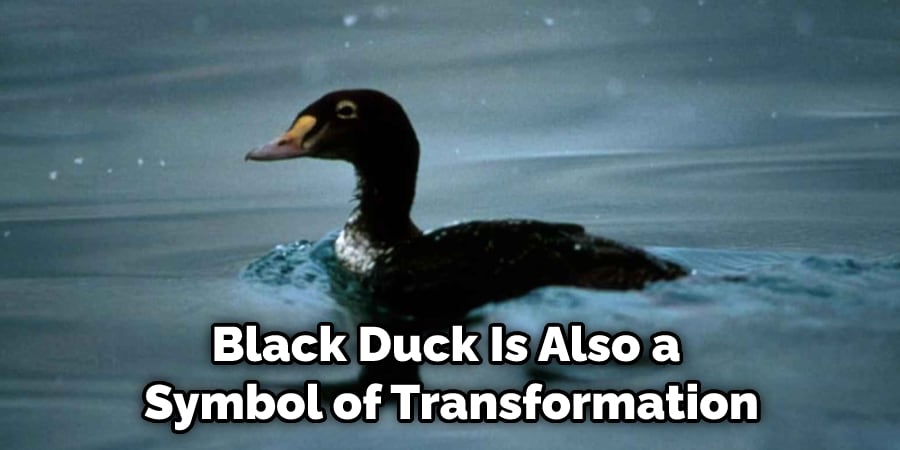 Black Duck Is Also a  Symbol of Transformation