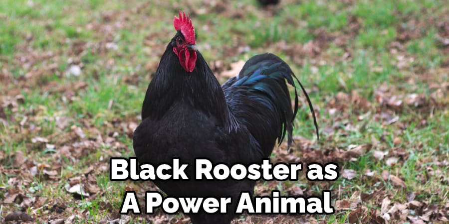 Black Rooster as  A Power Animal