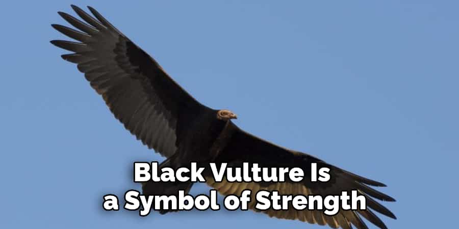 Black Vulture Is   a Symbol of Strength