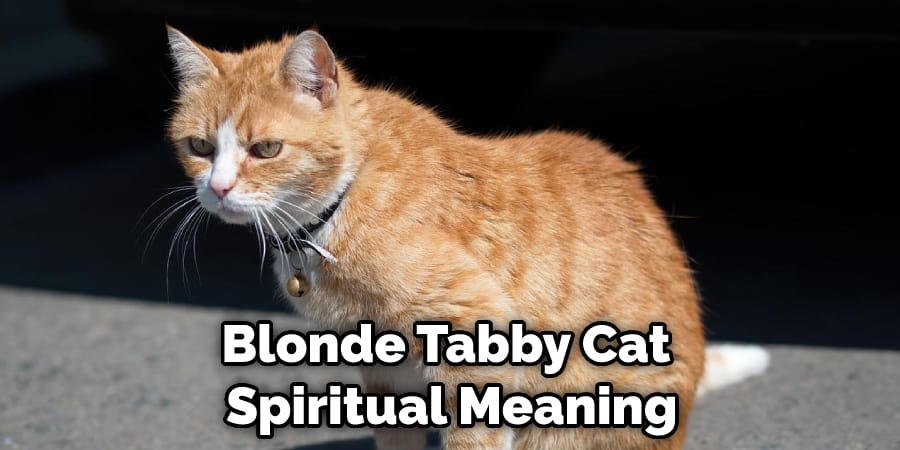 Blonde Tabby Cat  Spiritual Meaning