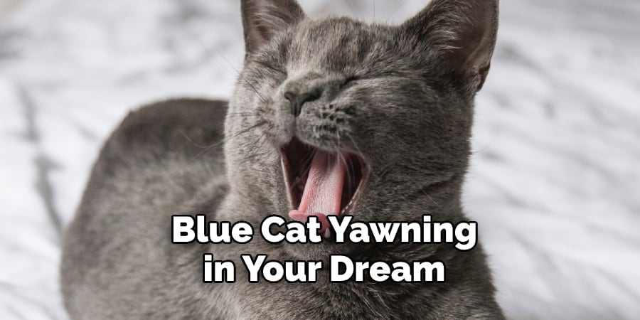 Blue Cat Yawning in Your Dream