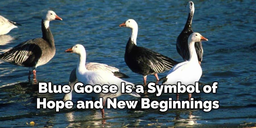 Blue Goose Is a Symbol of  Hope and New Beginnings