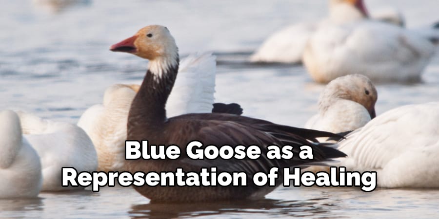 Blue Goose as a  Representation of Healing.